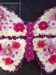 Pink Butterfly tribute 