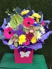 Love &amp; Best Wishes