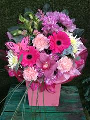 Pretty Pinks