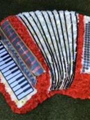 3D Accordion tribute 