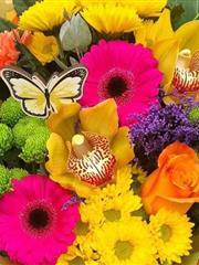 Florist choice bright in box