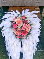 Angel wings