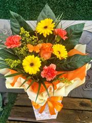 Autumn daisy 
