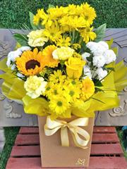 Mum you are my sunshine 