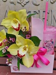 Orchid trio with Mothers Day cup