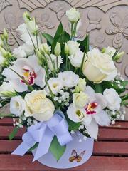 Butterfly hatbox in whites 
