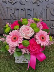 Pink and green botanicals box