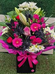 Gothic pinks 