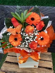 Orange crush