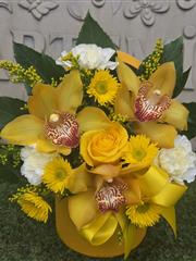 Yummy yellows hatbox 