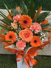 Juicy fruits in Orange 