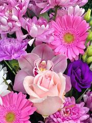 Mothers Day florist choice 