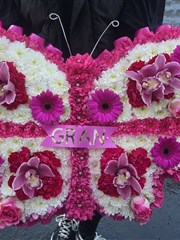 Butterfly tribute  in hot pink 